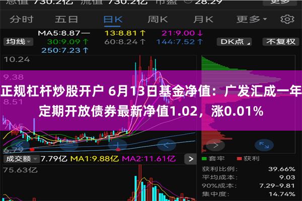 正规杠杆炒股开户 6月13日基金净值：广发汇成一年定期开放债券最新净值1.02，涨0.01%