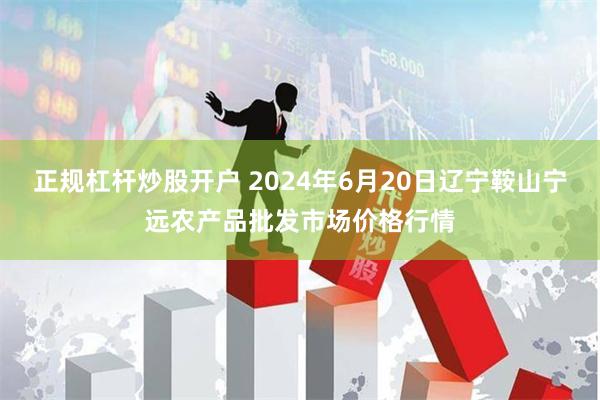 正规杠杆炒股开户 2024年6月20日辽宁鞍山宁远农产品批发市场价格行情